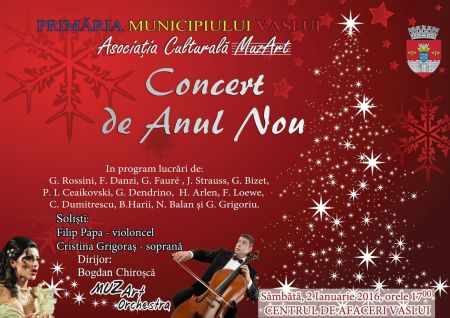 Concert de Anul Nou